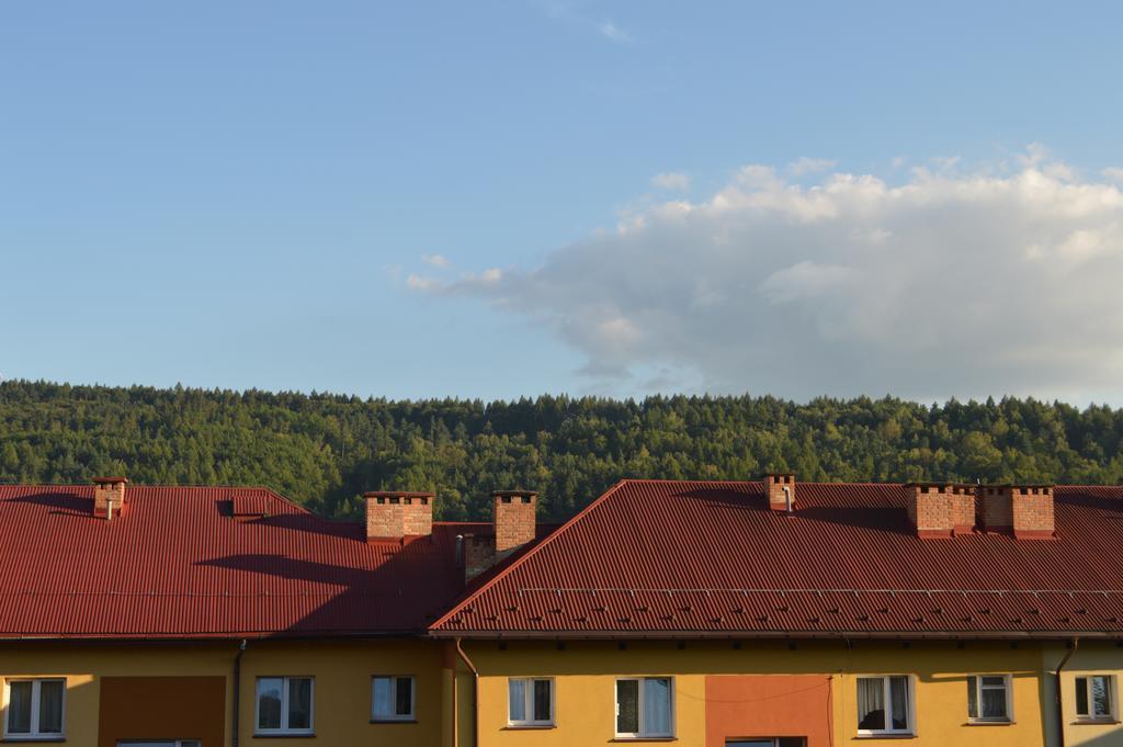 Apartament Ustrzyki Ustrzyki Dolne Extérieur photo