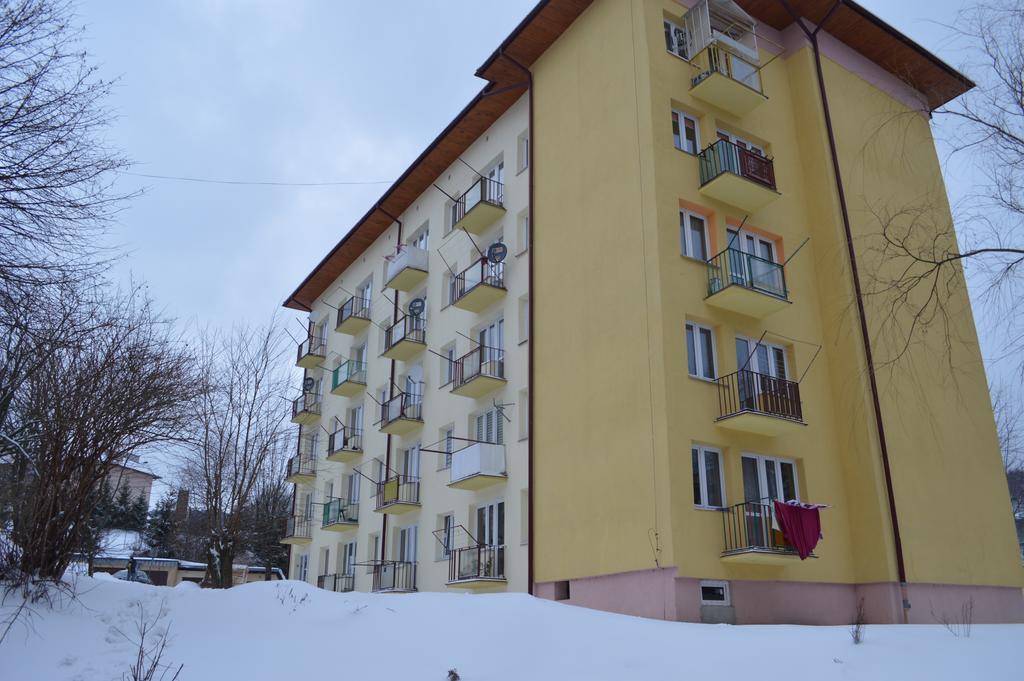 Apartament Ustrzyki Ustrzyki Dolne Extérieur photo