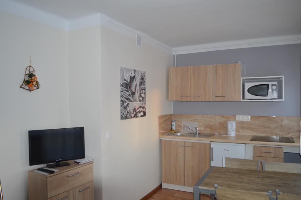 Apartament Ustrzyki Ustrzyki Dolne Extérieur photo